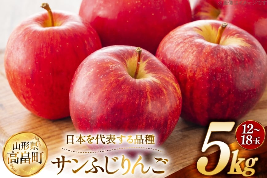 【期間限定発送】 りんご 高畠町産 サンふじ りんご 12～18玉 計 5kg[JA山形おきたま 山形県 高畠町 tk06ays870040] 果物 くだもの フルーツ 林檎 リンゴ ふじ ふじりんご 産地直送