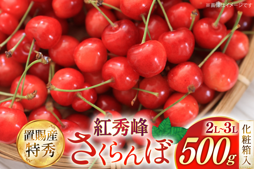 【期間限定発送】 さくらんぼ 置賜産 紅秀峰 特秀 2L～3L 500g 化粧箱入り [JA山形おきたま 山形県 高畠町 tk06ays870049] サクランボ チェリー 山形 果物 フルーツ くだもの