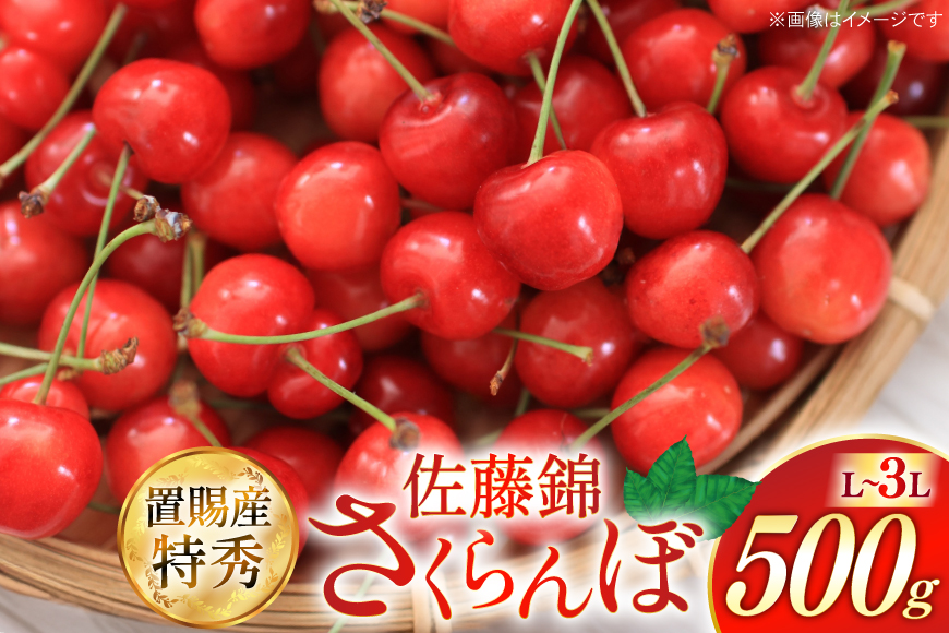 【期間限定発送】 さくらんぼ 置賜産 佐藤錦 特秀 L～3L 500g [JA山形おきたま 山形県 高畠町 tk06ays870050] サクランボ チェリー 山形 果物 フルーツ くだもの