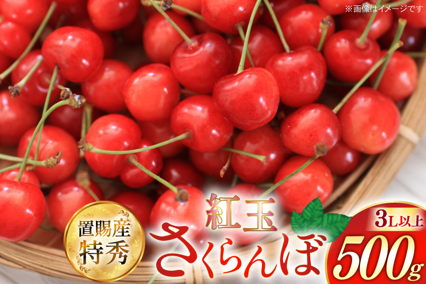 【期間限定発送】 さくらんぼ 置賜産 紅王 特秀 3L 以上 500g [JA山形おきたま 山形県 高畠町 tk06ays870053] サクランボ チェリー 山形 果物 フルーツ くだもの