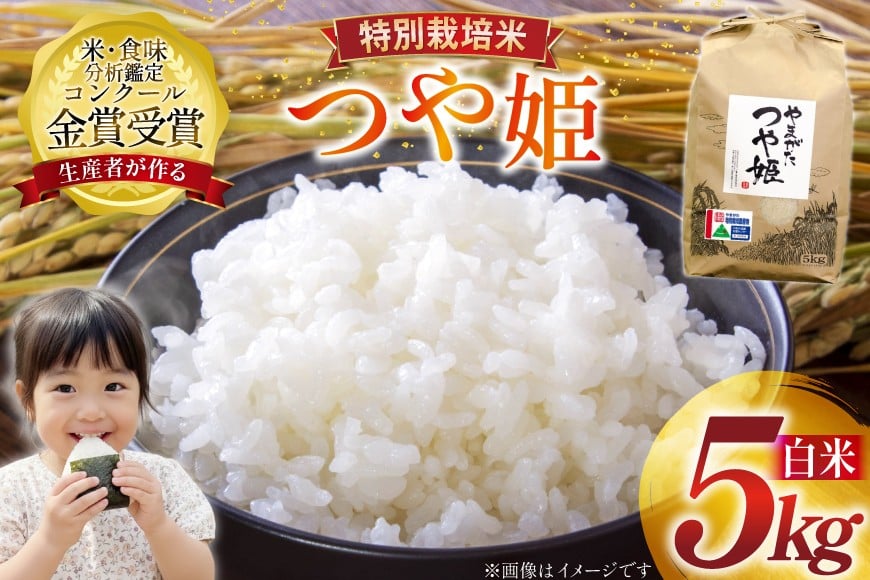 米 令和7年産 つや姫 5kg 特別栽培米 精米 [農家の蔵出し米生産組合 山形県 高畠町 tk06ays900022] コメ ご飯 ごはん お米 ブランド米