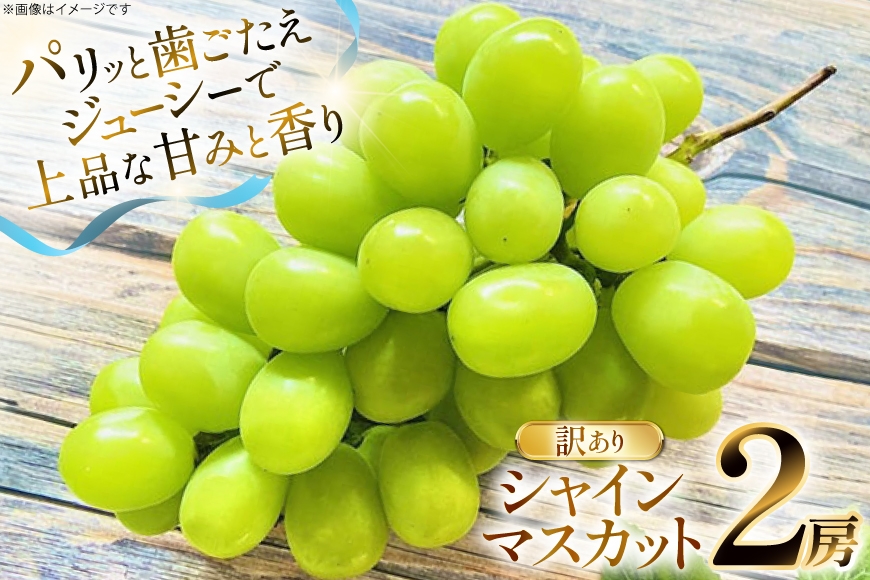 【期間限定発送】 シャインマスカット 訳あり 2房 1.1kg [もん前の里 山形県 高畠町 tk06ays960000] フルーツ 果物 くだもの ぶどう ブドウ 葡萄 1.1キロ 甘い