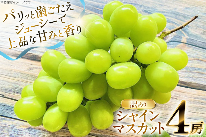 【期間限定発送】 シャインマスカット 訳あり 4房 2.2kg [もん前の里 山形県 高畠町 tk06ays960001] フルーツ 果物 くだもの ぶどう ブドウ 葡萄 2.2キロ 甘い