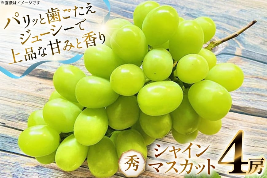 【期間限定発送】 シャインマスカット 秀 4房 約 2.4kg [もん前の里 山形県 高畠町 tk06ays960003] フルーツ 果物 くだもの ぶどう ブドウ 葡萄 2.4キロ 甘い