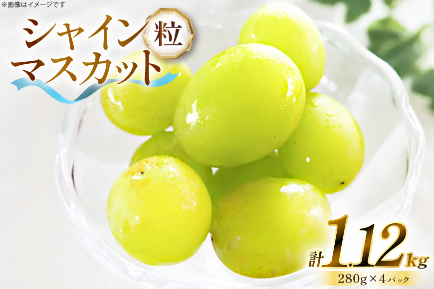 【期間限定発送】 シャインマスカット 粒 280g 4p 1.12kg 朝採れ [もん前の里 山形県 高畠町 tk06ays960007] フルーツ 果物 くだもの ぶどう ブドウ 葡萄 大粒 甘い