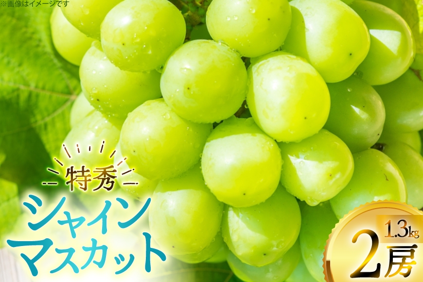【期間限定発送】 シャインマスカット 特秀 2房 1.3kg [四釜昌和 山形県 高畠町 tk06ayt020005] ぶどう ブドウ 葡萄 マスカット 大粒 種なし 果物 フルーツ くだもの