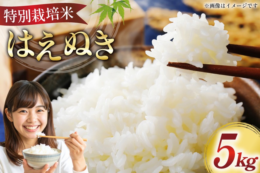 米 令和7年 特別栽培米 はえぬき 5kg [はまえん 山形県 高畠町 tk06ayt030004] 5キロ お米 ブランド米 ごはん ご飯 白米 精米 こめ