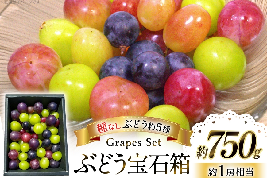 【期間限定発送】 ぶどう 詰め合わせ 種なしぶどうの宝石箱 約5種類  約750g [大野農園 山形県 高畠町 tk06ayt050000] ぶどう ブドウ 葡萄 マスカット 大粒 種なし 農家直送 数量限定 贈答 ギフト 果物 フルーツ くだもの