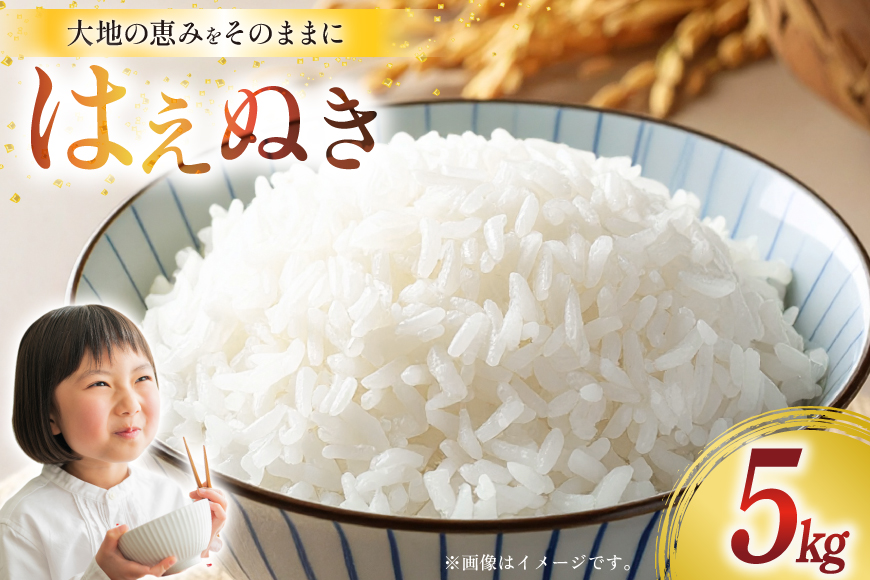 令和7年産 慣行栽培 はえぬき 5kg [田制農園 山形県 高畠町 tk06ayt230006] 精米 白米 米 お米 ブランド米 ごはん ご飯