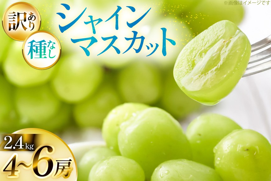【期間限定発送】 シャインマスカット 訳あり 4～6房 約 2.4kg [Yamagenフルーツガーデンレコルト 山形県 高畠町 tk06ayt380000] ご家庭用 ぶどう ブドウ 葡萄 フルーツ 果物 くだもの 2.4キロ 甘い