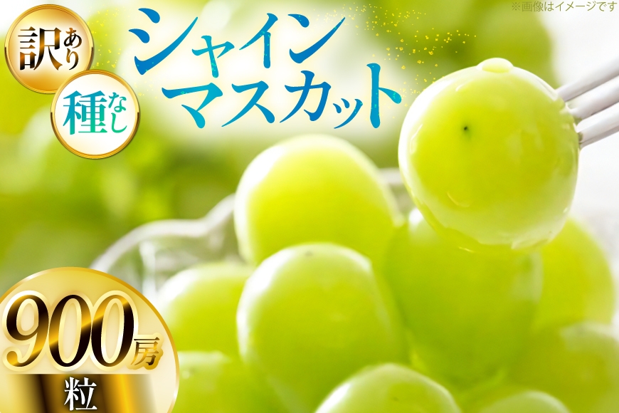 【期間限定発送】 シャインマスカット 訳あり 粒 900g [Yamagenフルーツガーデンレコルト 山形県 高畠町 tk06ayt380001] ご家庭用 ぶどう ブドウ 葡萄 フルーツ 果物 くだもの 甘い