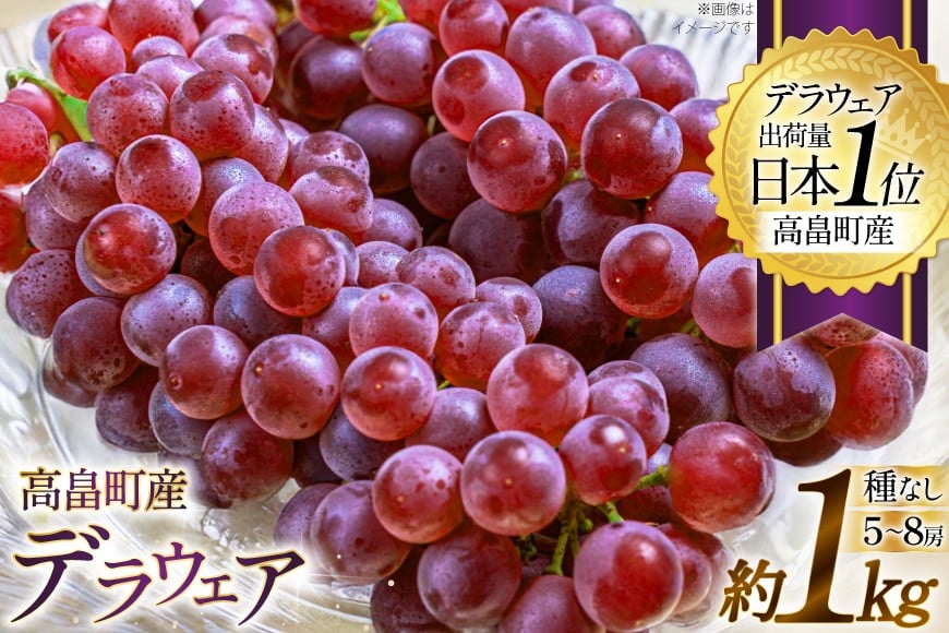 【期間限定発送】 ぶどう デラウェア 5～8房 約 1kg [いわた果樹園 山形県 高畠町 tk06ayt400003] 種無し ブドウ 葡萄 くだもの 果物 フルーツ 産地直送 農家直送
