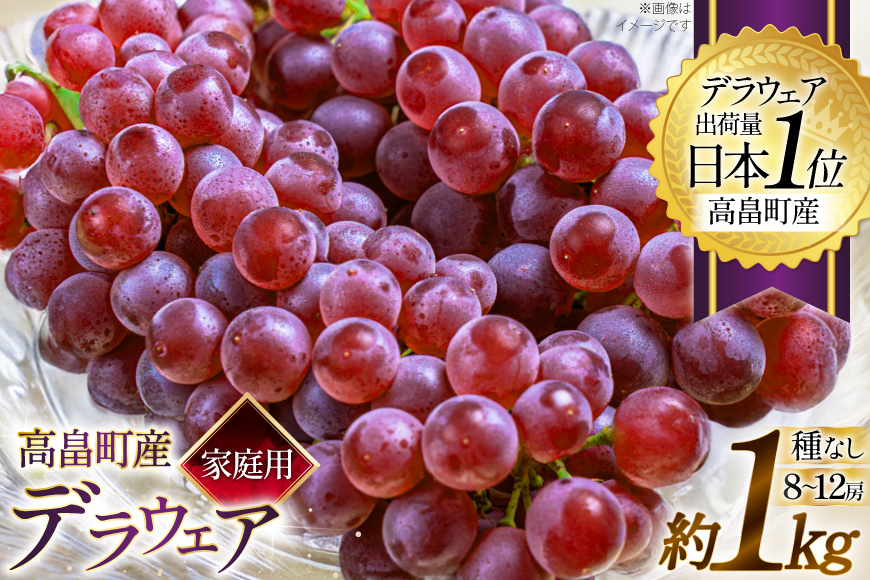 【期間限定発送】 家庭用 訳あり デラウェア 8～12房 約1kg [いわた果樹園 山形県 高畠町 tk06ayt400006] ぶどう 種無し ブドウ 葡萄 くだもの 果物 フルーツ 産地直送 農家直送 期間限定