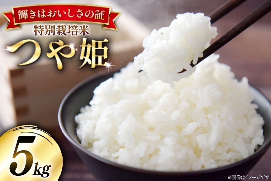 米 令和7年産 特別栽培米 つや姫 5kg [本田勇仁 山形県 高畠町 tk06bgj910004] お米 白米 精米 ごはん ご飯 ブランド米