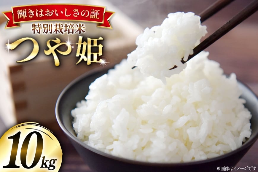 米 令和7年産 特別栽培米 つや姫 10kg (5kg×2) [本田勇仁 山形県 高畠町 tk06bgj910005] お米 白米 精米 ごはん ご飯 ブランド米