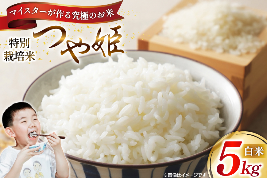 米 令和7年 つや姫マイスターが作る 特別栽培米 つや姫 5kg [遠藤農園 山形県 高畠町 tk06ayt120012] 5キロ お米 ブランド米 ごはん ご飯 白米 精米 こめ