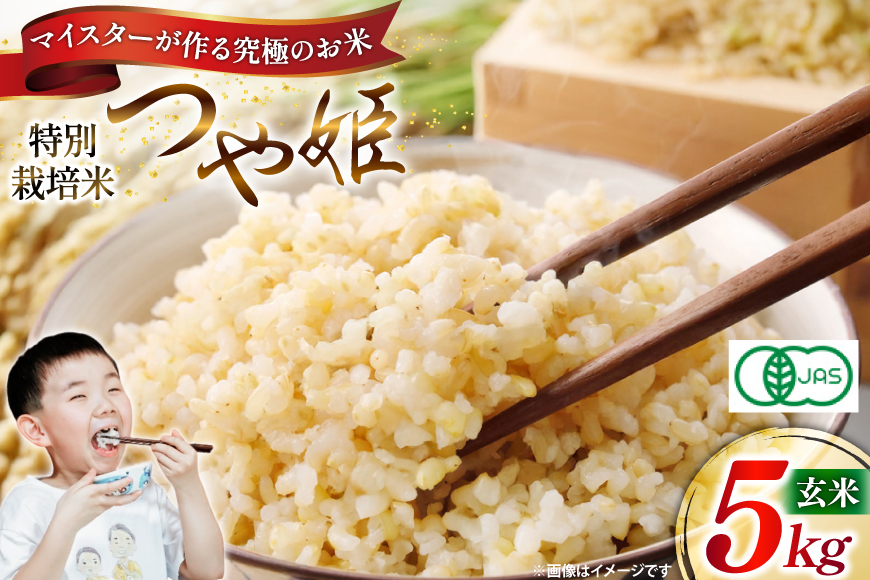 玄米 令和7年 つや姫マイスターが作る 特別栽培米 つや姫 5kg [遠藤農園 山形県 高畠町 tk06ayt120013] 5キロ お米 ブランド米 ごはん ご飯 こめ