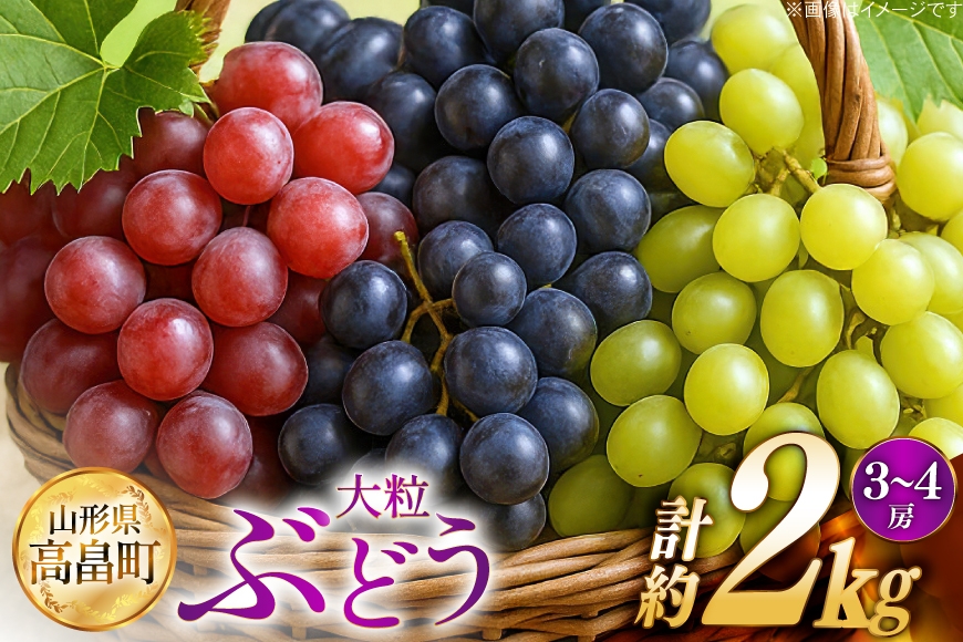 【期間限定発送】 ぶどう 2～3色 約 2kg 詰め合わせ セット [JA山形おきたま 山形県 高畠町 tk06ays870046] シャインマスカット 葡萄 セット ブドウ 巨峰 ピオーネ クイーンニーナ ゴルビー 高尾 蔵王おとめ 大粒 農家直送 朝採れ 食べ比べ 2キロ