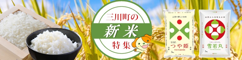 新米特集