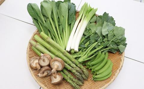 食の都庄内　【12ヶ月お届け】庄内野菜の定期便(庄内旬青果) 【12ヶ月お届け】