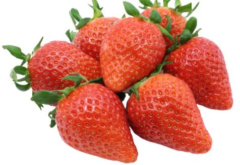 食の都庄内　庄内の美味しい豚肉＆いちごセット※1月中旬頃より順次配送（金曜日発送） [NY2-170(産直出前便)] 厚切り豚ロース肉2パック＆いちご4パック