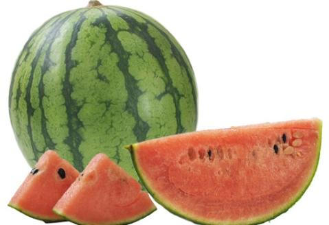 食の都庄内【令和7年産】《7・8・9月お届け-B》旬のフルーツの3ヶ月定期便(庄内旬青果) 《7・8・9月お届け-B》