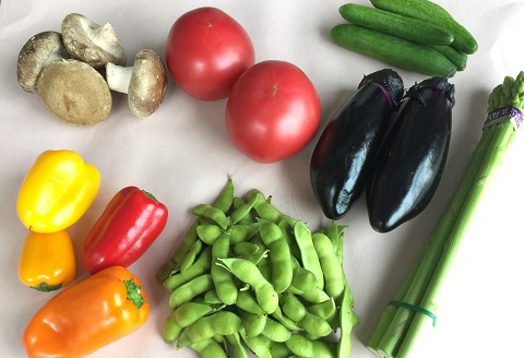 食の都庄内　庄内野菜＆たっぷり庄内豚セット（庄内の酒粕付）(産直出前便) 庄内野菜＆たっぷり庄内豚セット