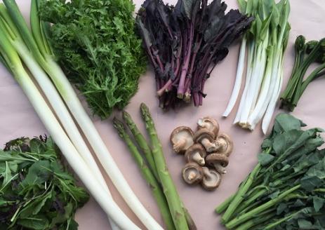 食の都庄内　【3ヶ月お届け】庄内野菜の定期便 【3ヶ月お届け】