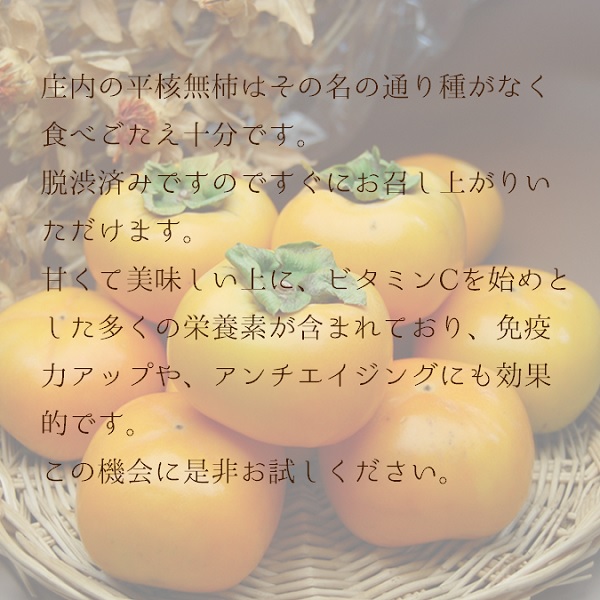 食の都庄内　種なし庄内柿約10kg（約5kg×2箱）　※令和7年10月下旬頃～順次配送(マルショウ青果) 種なし庄内柿約10kg（約5kg×2箱）