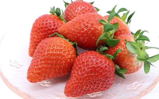 食の都庄内　庄内砂丘のいちご4パック※1月中旬頃～順次配送 180g×4パック