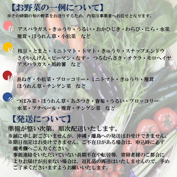 食の都庄内　庄内産　旬の野菜セット(マルショウ青果)