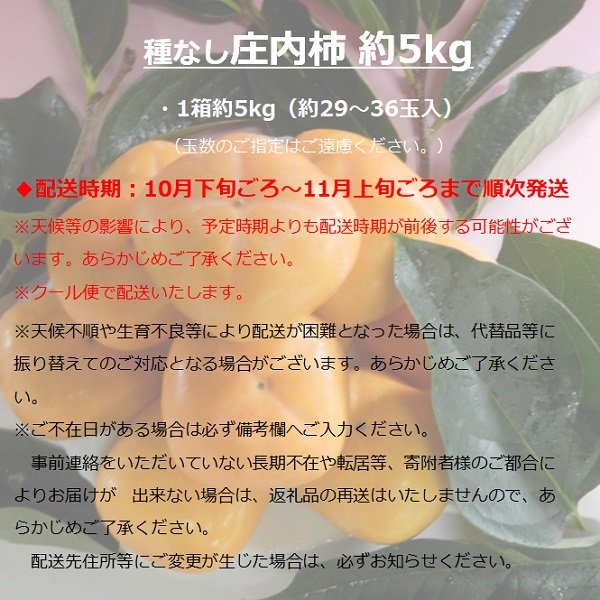 食の都庄内　種なし庄内柿約5kg　※令和7年10月下旬頃～順次配送(マルショウ青果) 種なし庄内柿約5kg