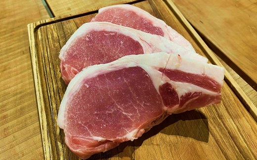 食の都庄内　庄内の美味しい豚肉＆お米セット [NY2-050(産直出前便)]