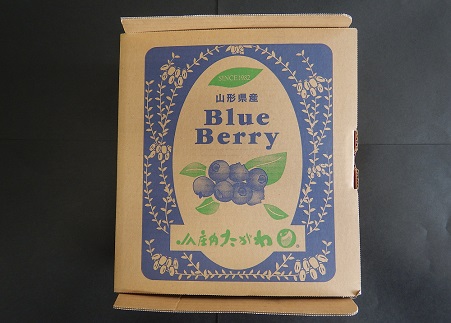 食の都庄内【令和7年産】庄内産冷凍ブルーベリー（バラ詰め約2kg）※令和7年8月頃より順次配送予定(庄内たがわ農協)