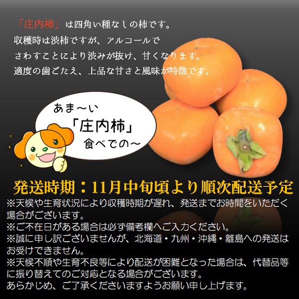 グリーンファーム小野寺の庄内柿1箱約10kg ※11月中旬頃から順次配送予定(GF小野寺)