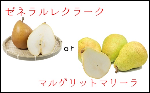食の都庄内【令和7年産】《10・11・12月お届け-B》季節の贈り物-3ヶ月定期便(庄内旬青果) 《10・11・12月お届け-B》