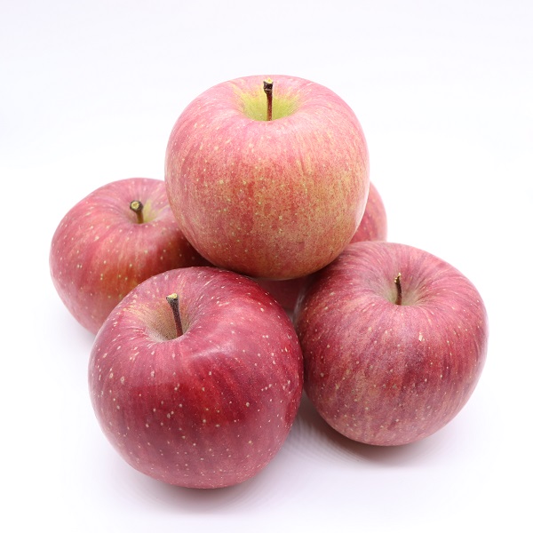 食の都庄内　《12月・1月・2月お届け》旬のフルーツ3ヶ月定期便(庄内旬青果) 12月:りんご、1月:洋梨、2月:いちご