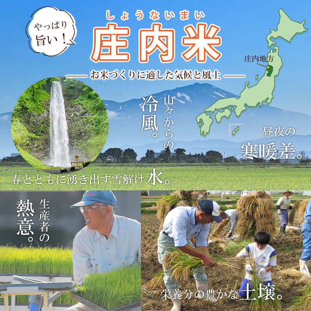 【2月～7月発送】無洗米山形県産雪若丸5kg×6回【定期便6回】(みかわ振興公社《有限会社　阿部ベイコク》) 【2月～7月発送】5kg×6回