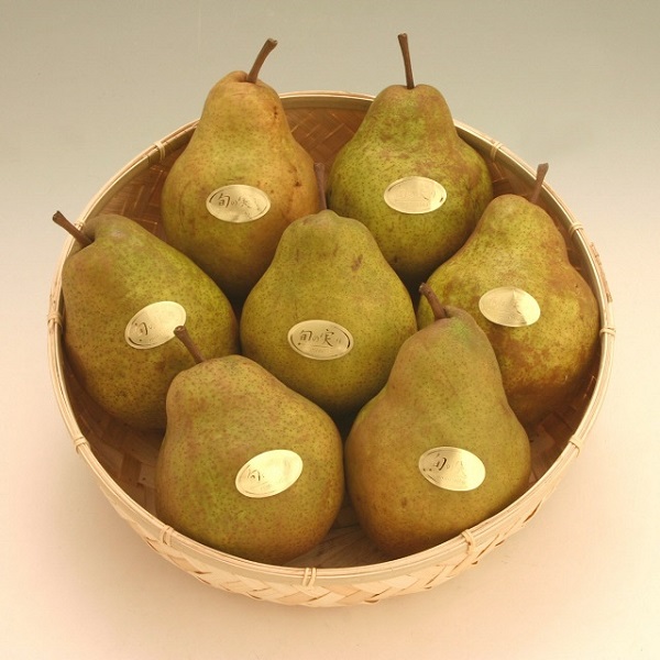 食の都庄内　《12・1・2月お届け-A》季節の贈り物-3ヶ月定期便(庄内旬青果) 12月:洋梨、1月:啓翁桜、2月:いちご