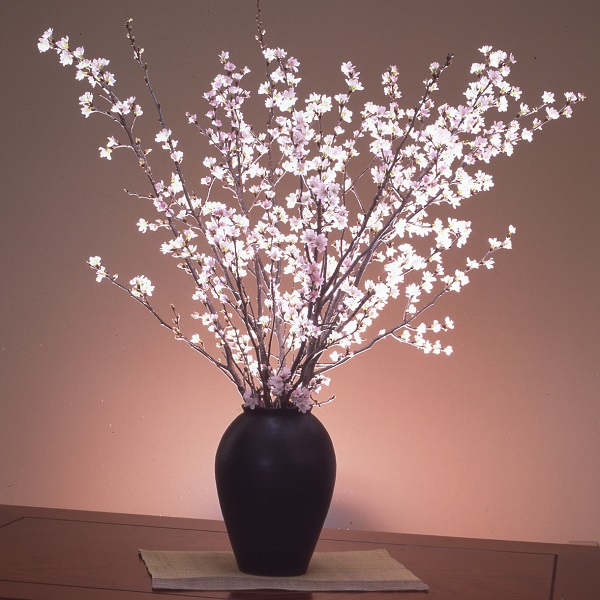 食の都庄内　《12・1・2月お届け-B》季節の贈り物-3ヶ月定期便(庄内旬青果) 12月:啓翁桜、 1月:洋梨、 2月:いちご