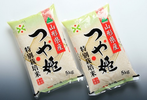 【令和7年産・精米】つや姫10kg+つや姫パックライス4P [HM1-001(まいすたぁ)]