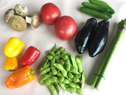 食の都庄内　【6ヶ月お届け】庄内野菜の定期便 【6ヶ月お届け】