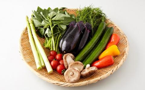 食の都庄内　【12ヶ月お届け】庄内野菜の定期便(庄内旬青果) 【12ヶ月お届け】