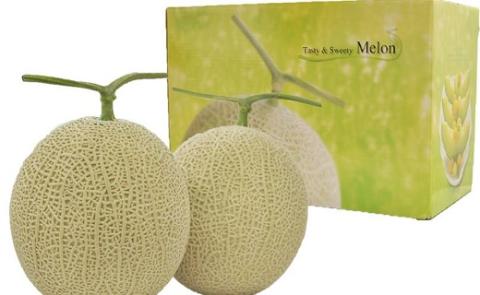 食の都庄内【令和7年産】《7・8・9月お届け-A》旬のフルーツの3ヶ月定期便(庄内旬青果) 《7・8・9月お届け-A》