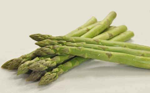 【令和8年産】食の都庄内　庄内産グリーンアスパラ約700g　※令和8年3月中旬～6月上旬頃発送 [HS4-101(庄内旬青果)] 約700g