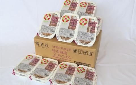 食の都庄内　雪若丸玄米パックごはん（黒米入り）24P(みかわ振興公社《農事組合法人　庄内協同ファーム》)