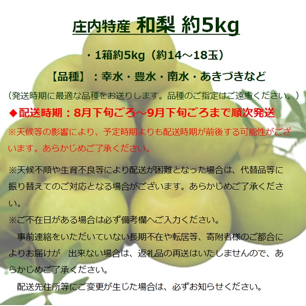 食の都庄内　庄内特産 和梨 約5kg※令和7年8月下旬頃～順次配送(マルショウ青果)