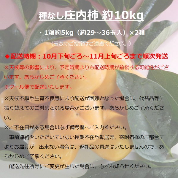 食の都庄内　種なし庄内柿約10kg（約5kg×2箱）　※令和7年10月下旬頃～順次配送(マルショウ青果) 種なし庄内柿約10kg（約5kg×2箱）
