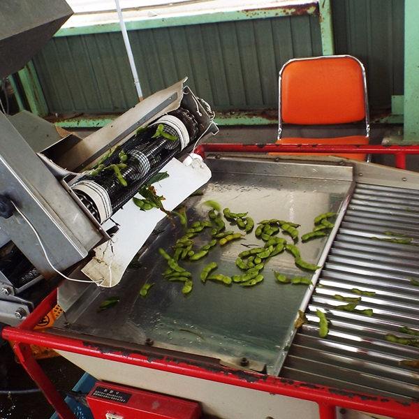 【3kg小分け12袋】横川枝豆組合の庄内ちゃまめ（250g×12袋）(横川枝豆組合) 3kg小分け（250g×12袋）