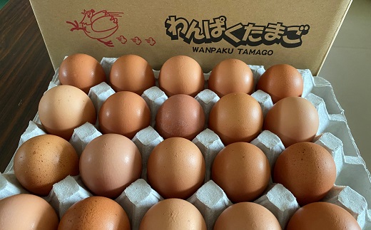 食の都庄内　【庄内食卓セット】卵かけごはんセット　TKG [NY2-032(産直出前便)]